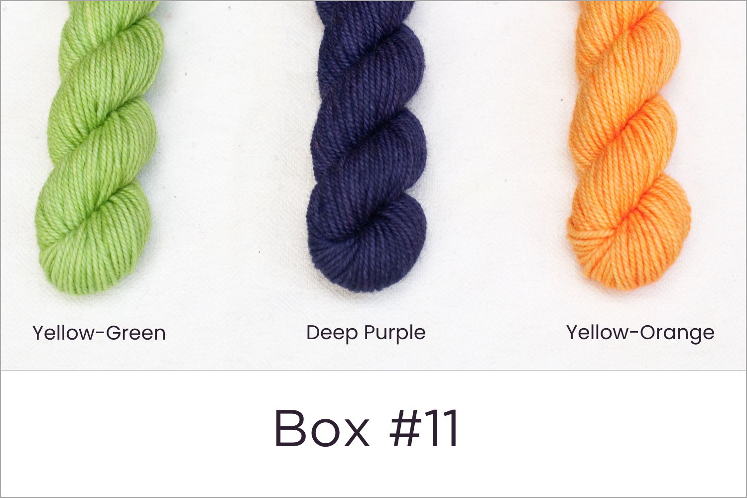 BFL - Colour Wheel Adventures (Pré-commande)