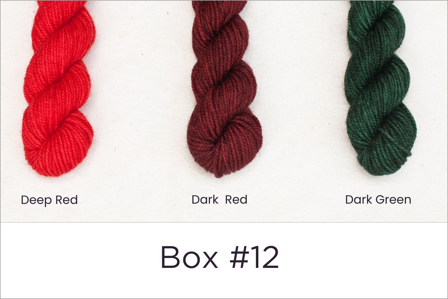 BFL - Colour Wheel Adventures (Pré-commande)