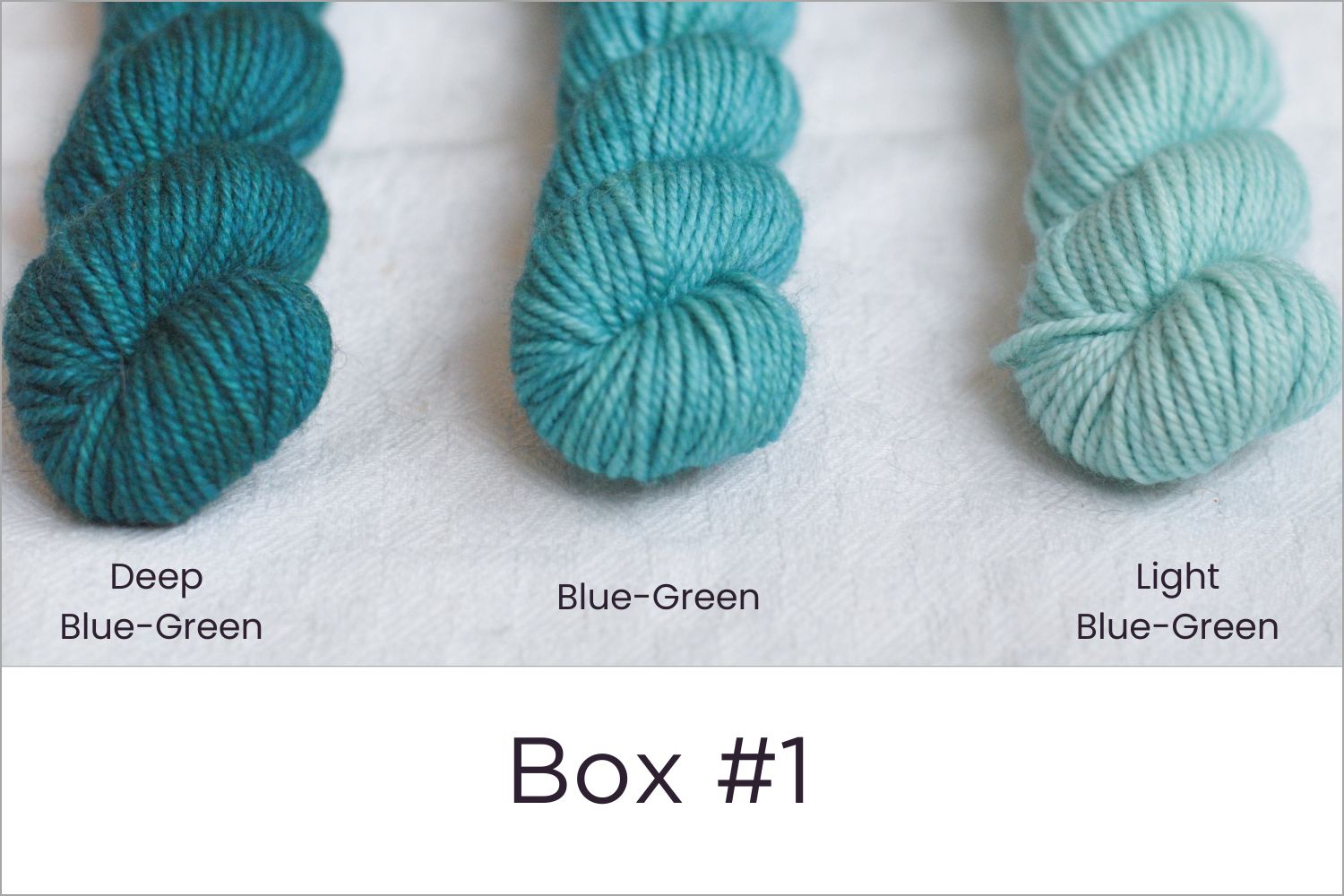 BFL - Colour Wheel Adventures (Pré-commande)