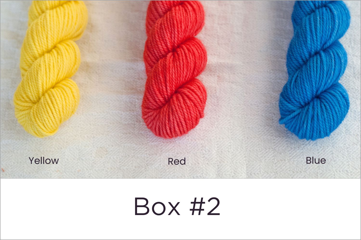 BFL - Colour Wheel Adventures (Pré-commande)