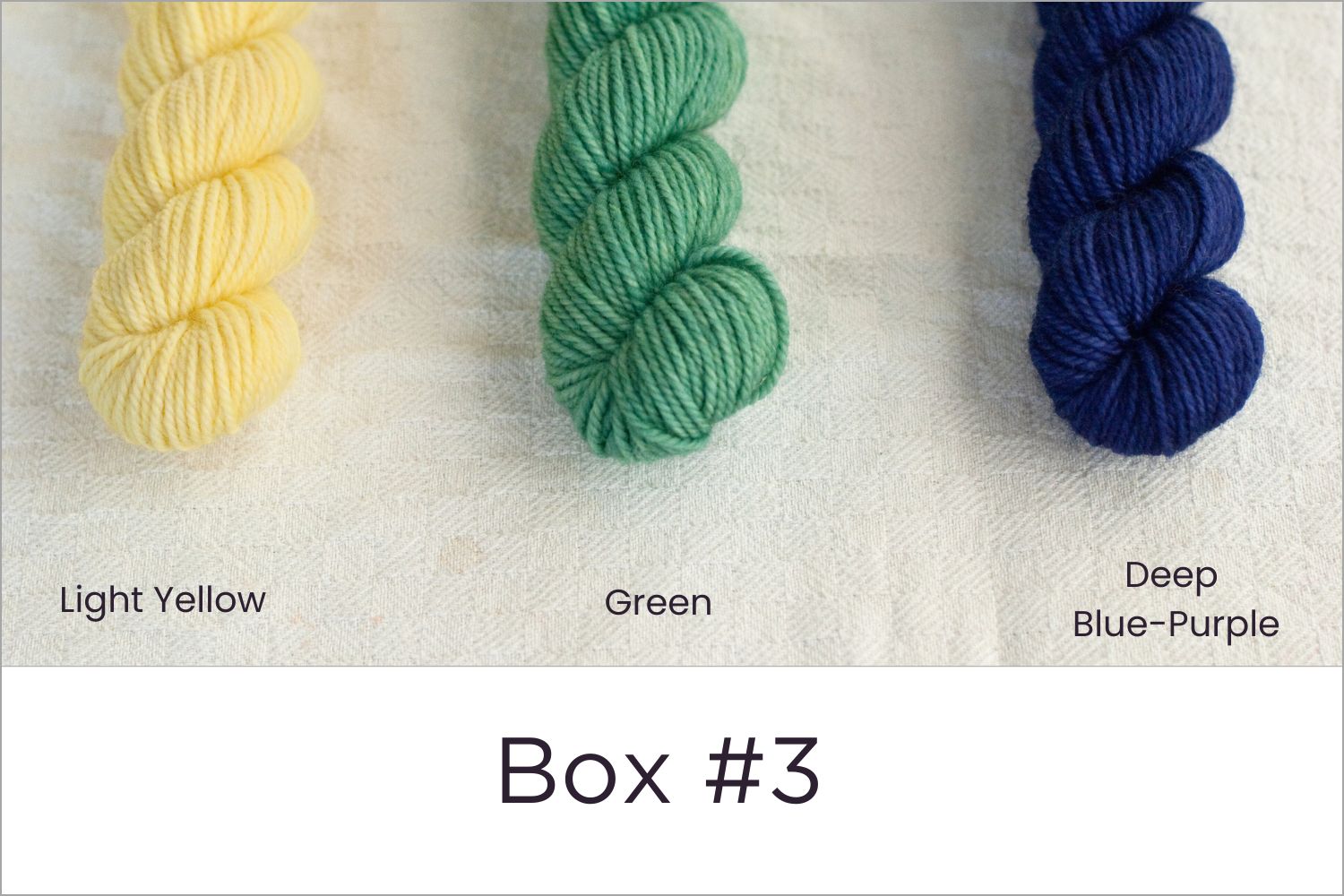 BFL - Colour Wheel Adventures (Pré-commande)