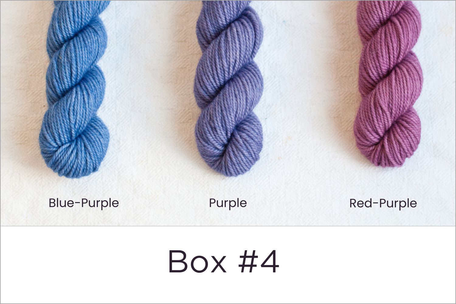 BFL - Colour Wheel Adventures (Pré-commande)