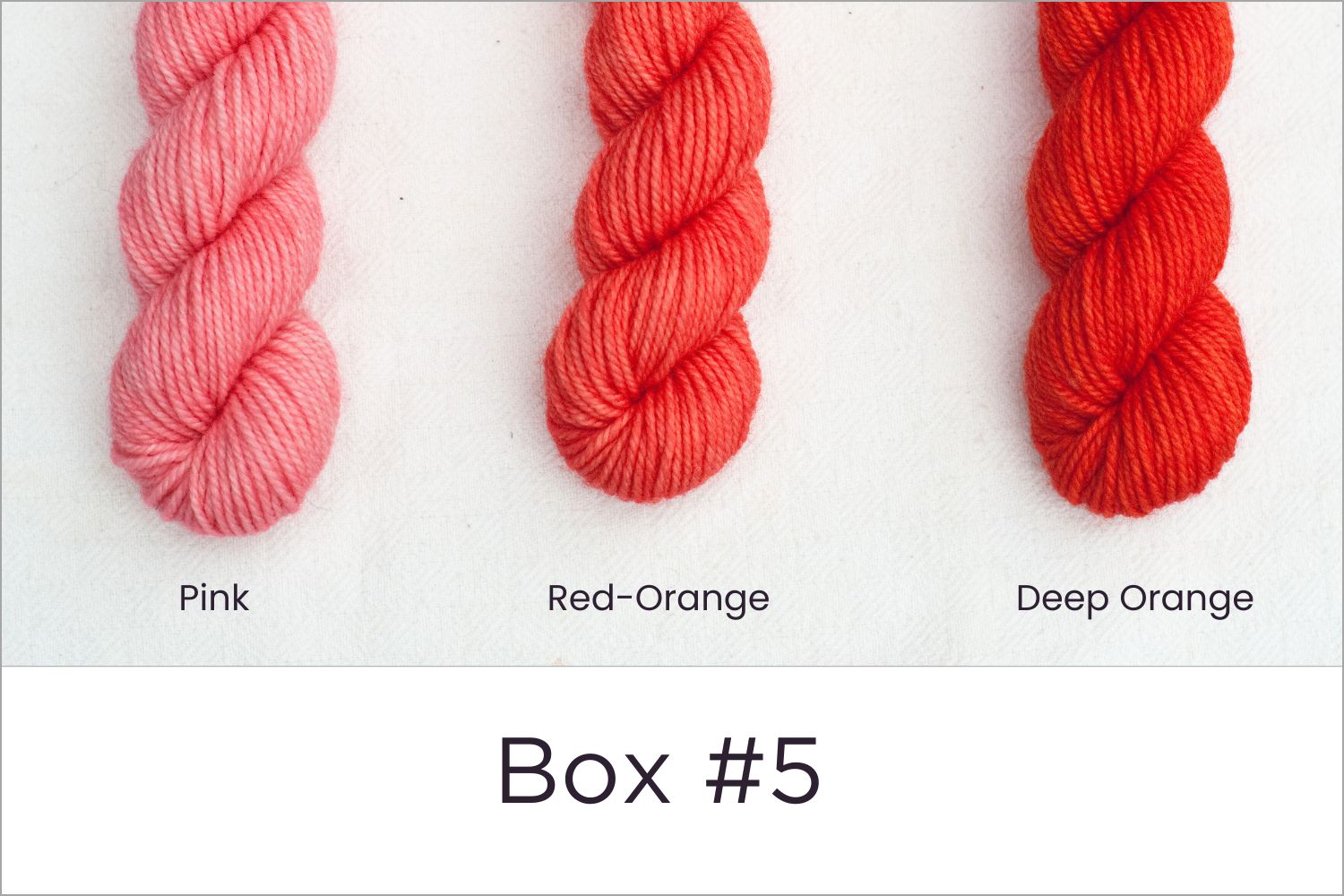 BFL - Colour Wheel Adventures (Pré-commande)