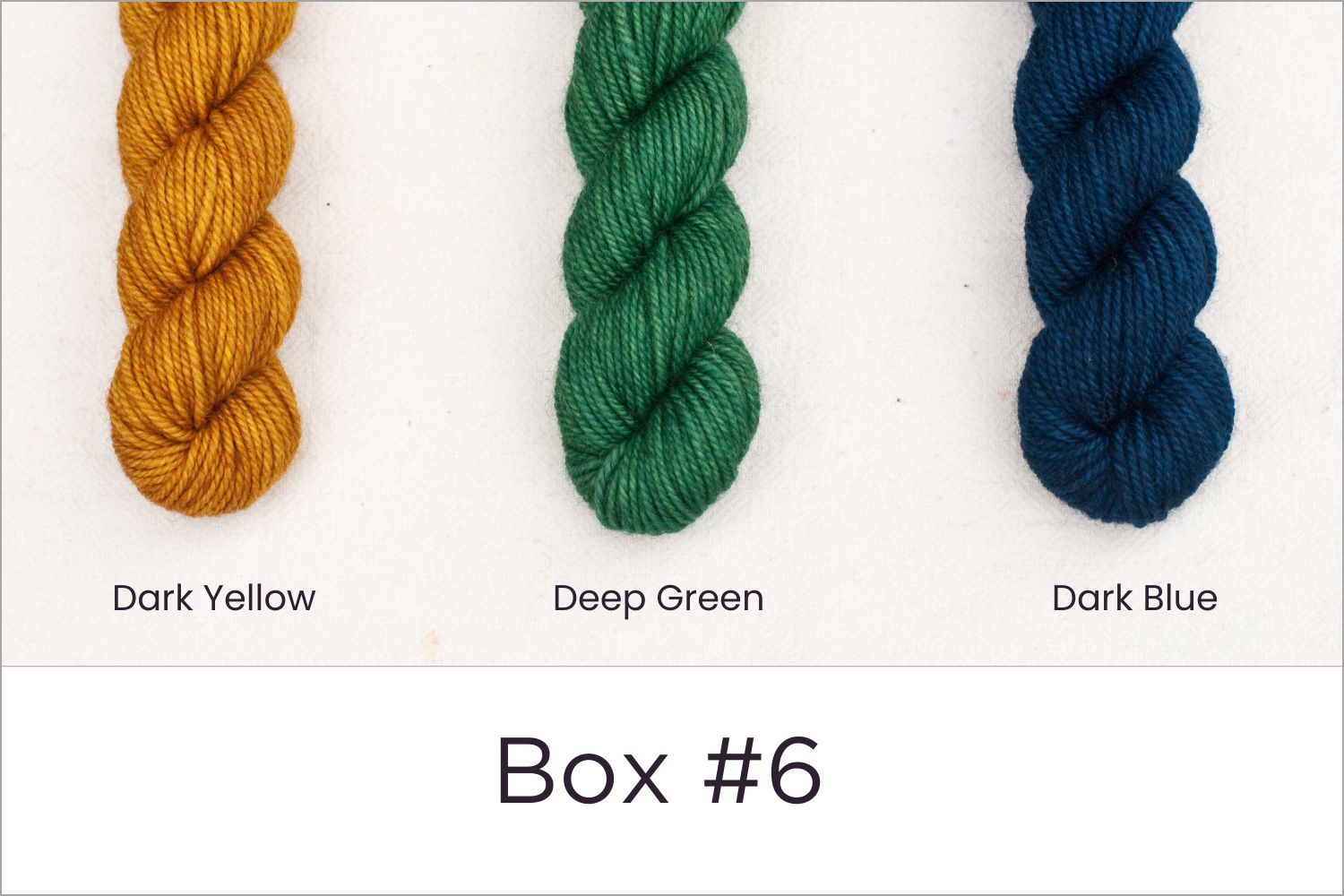 BFL - Colour Wheel Adventures (Pré-commande)