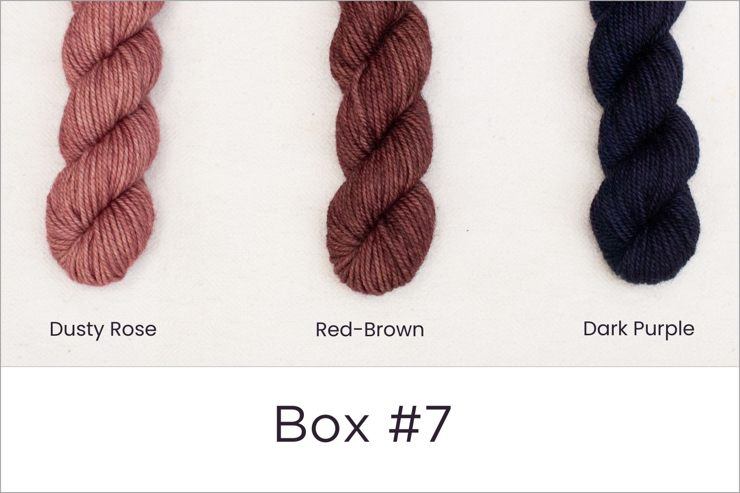 BFL - Colour Wheel Adventures (Pré-commande)