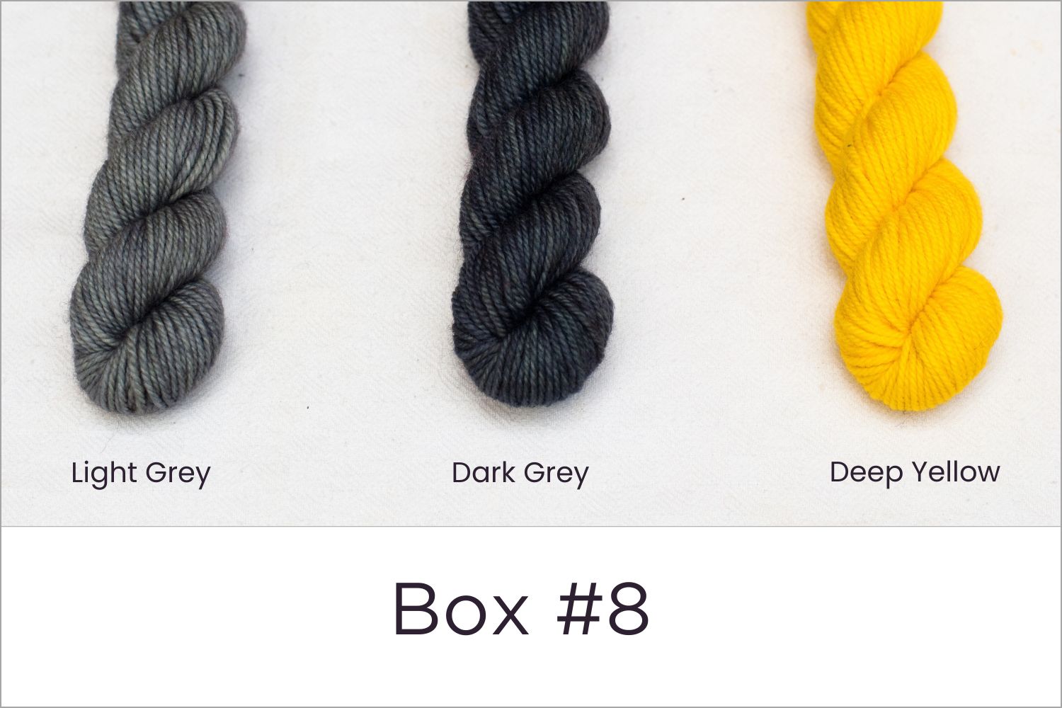 BFL - Colour Wheel Adventures (Pré-commande)