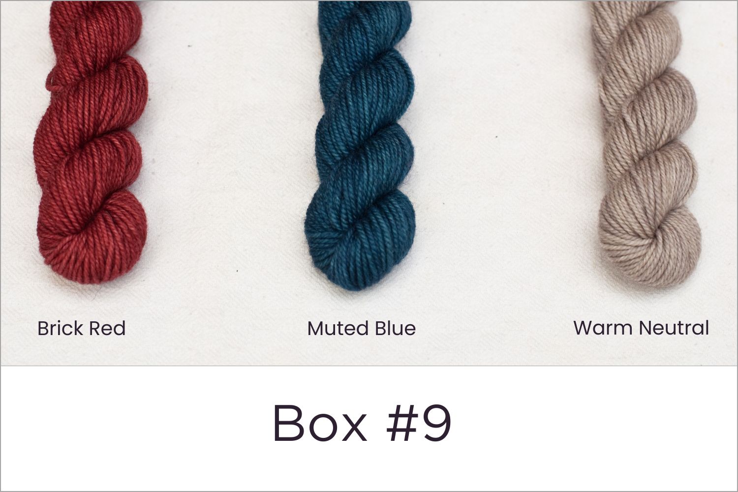 BFL - Colour Wheel Adventures (Pré-commande)