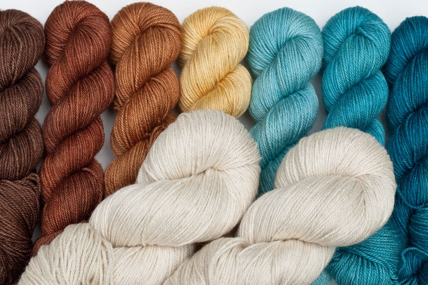 Dandelion: ensemble pour Cosmic Connections MKAL