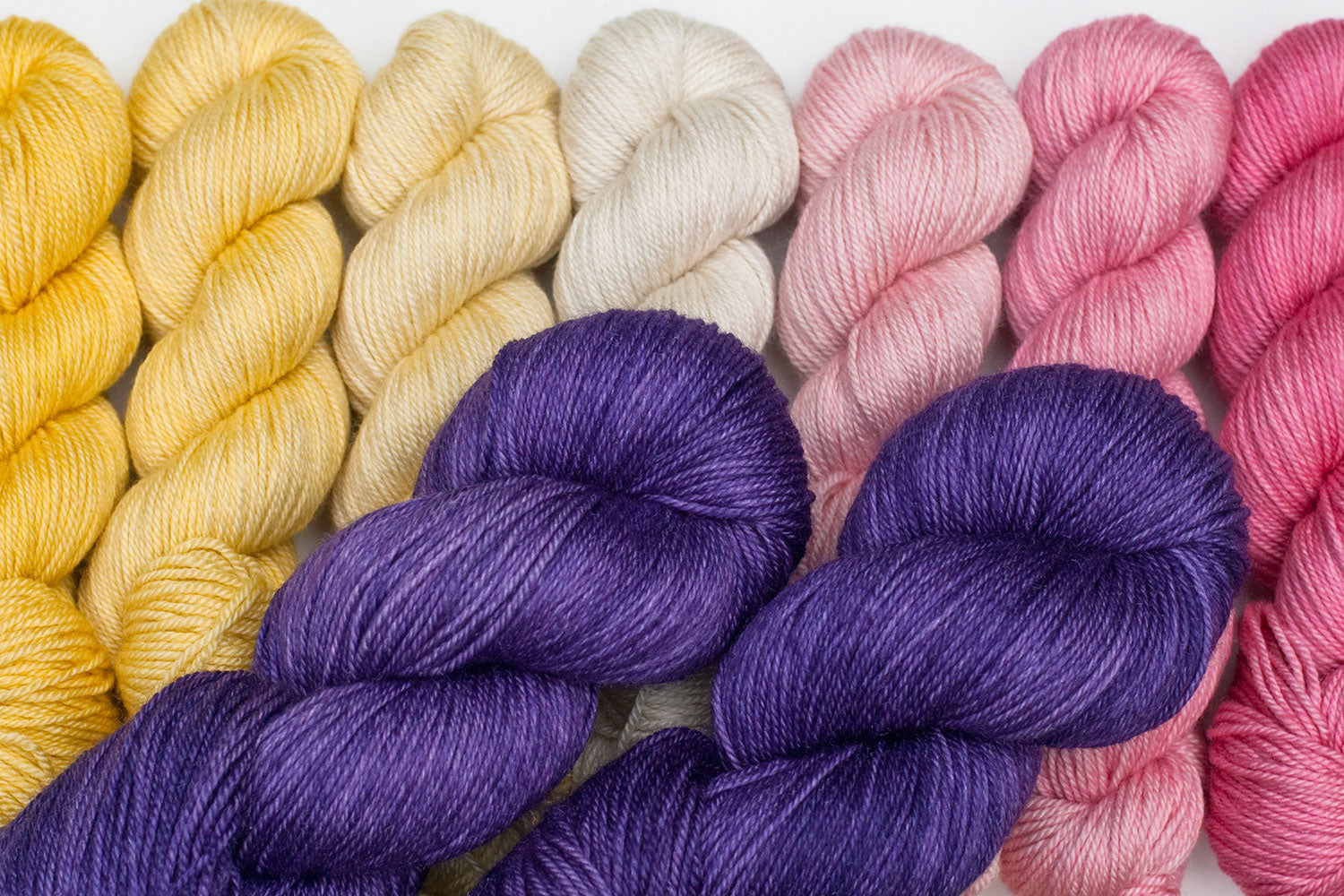 Lotus: ensemble pour Cosmic Connections MKAL