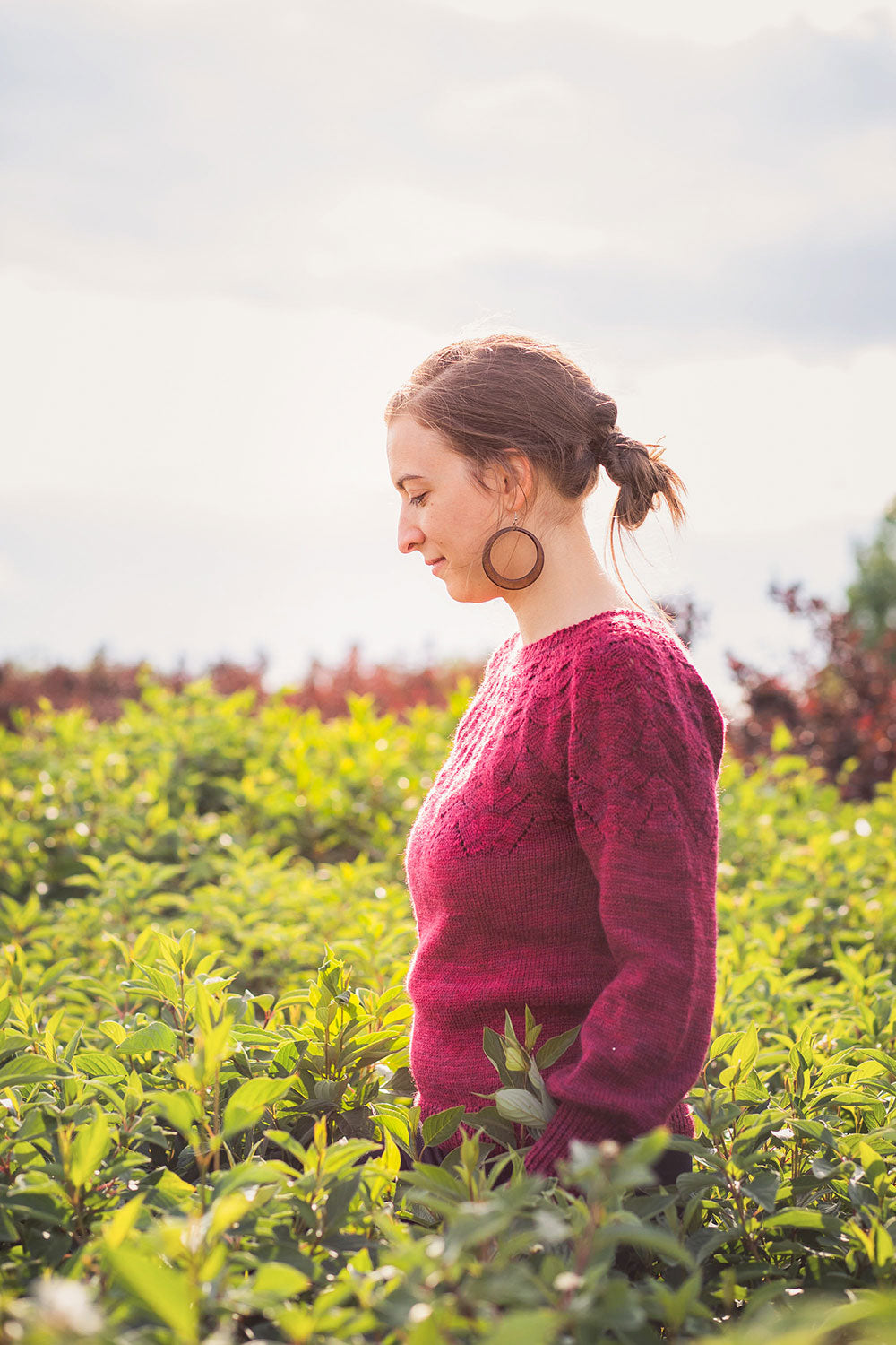 Kit de chandail Arborescent