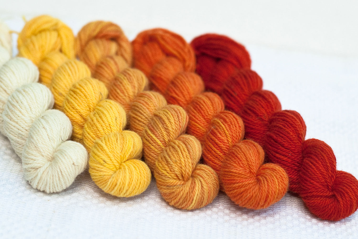 Pre-order: Elora - set of 5 mini-skeins