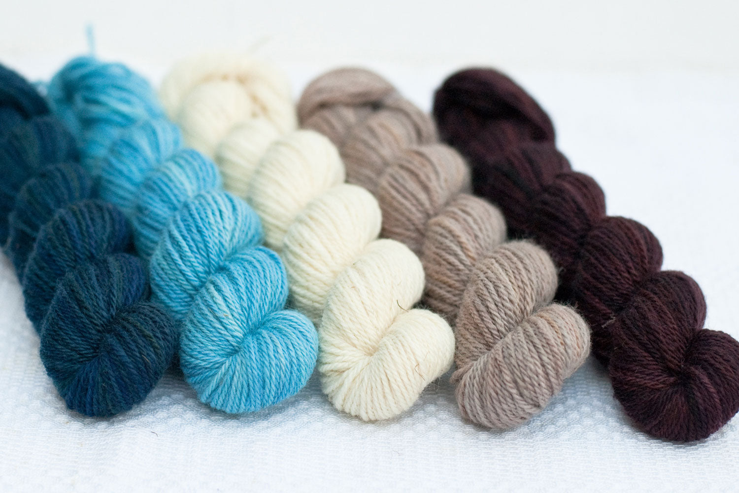 Pre-order: Elora - set of 5 mini-skeins