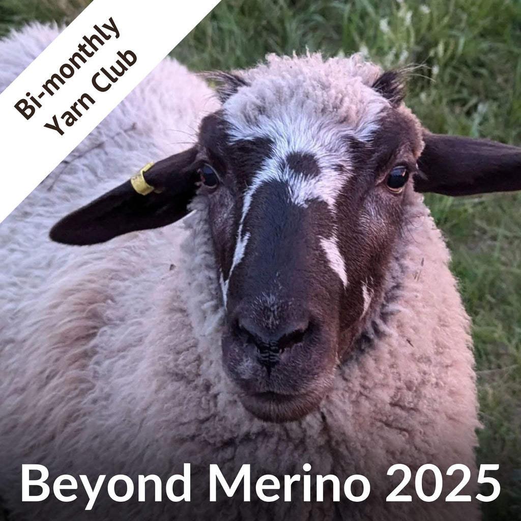 Yarn Club: Beyond Merino 2025