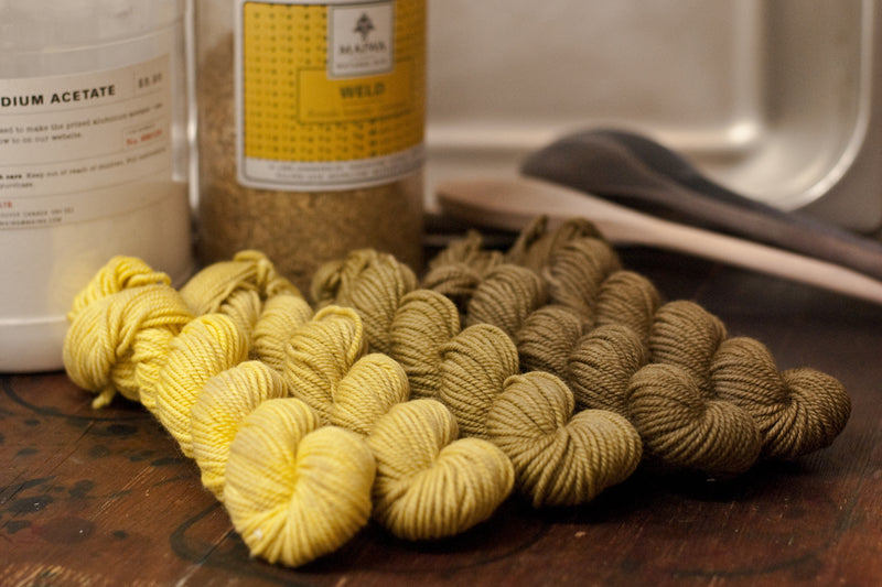 Yarn Dyeing Classes Sweet Paprika Designs