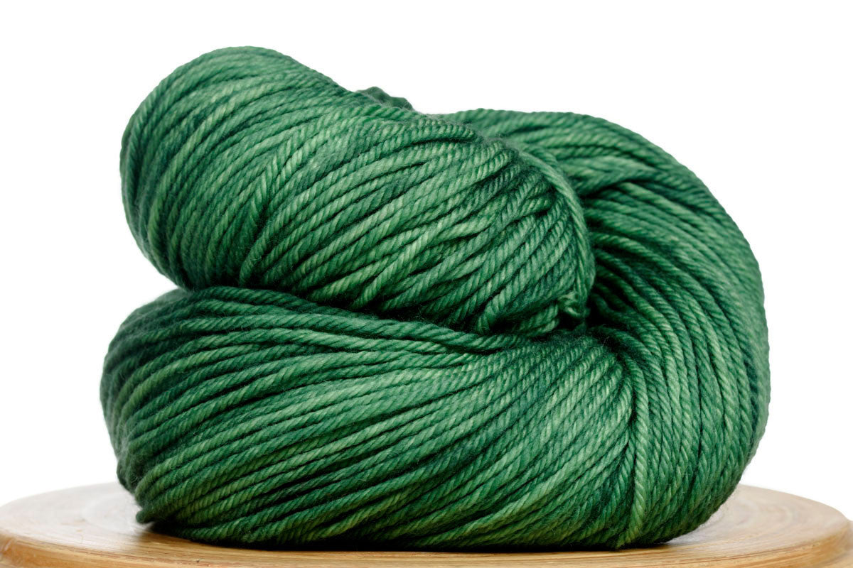 Andante hand-dyed worsted weight merino in Emerald City