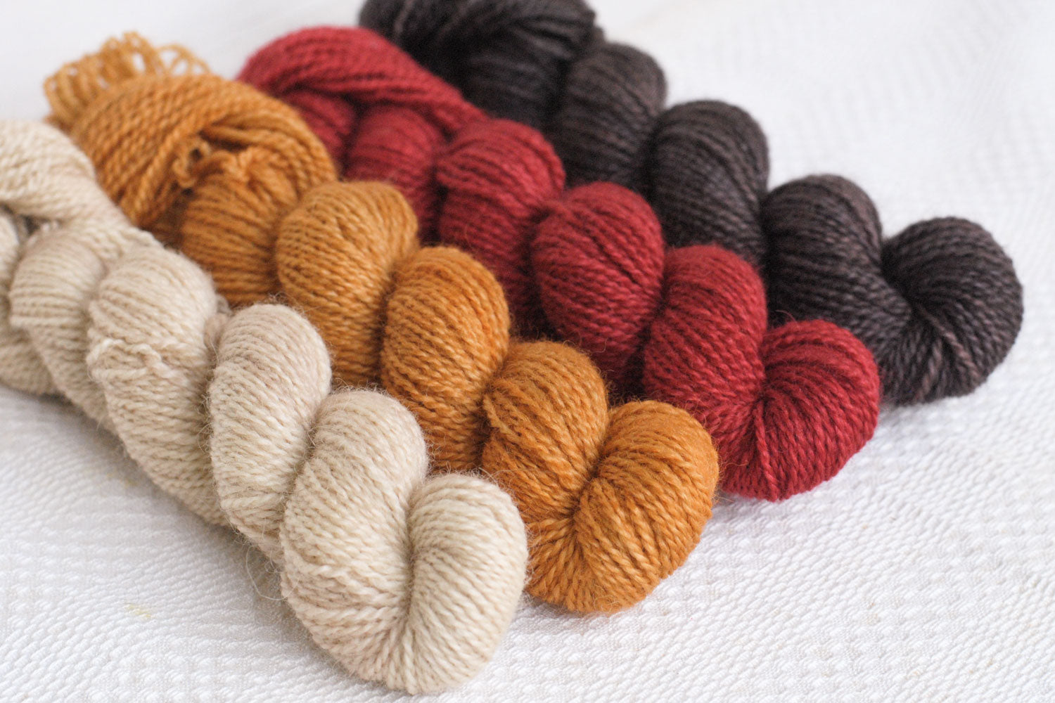 Set of four hand-dyed mini-skeins in beige, gold, red, and brown