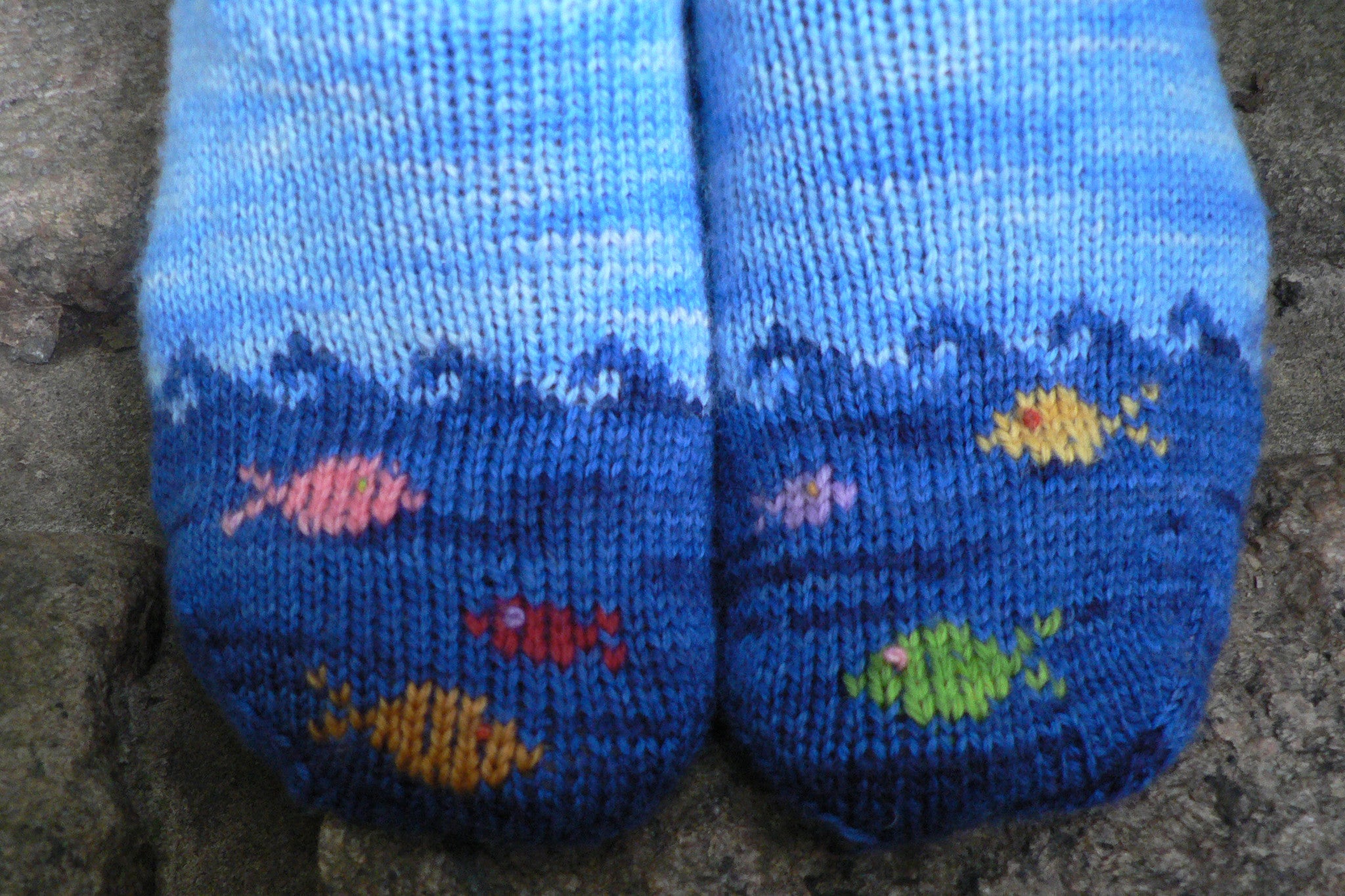 Fish in the Sea Sock Knitting Kit