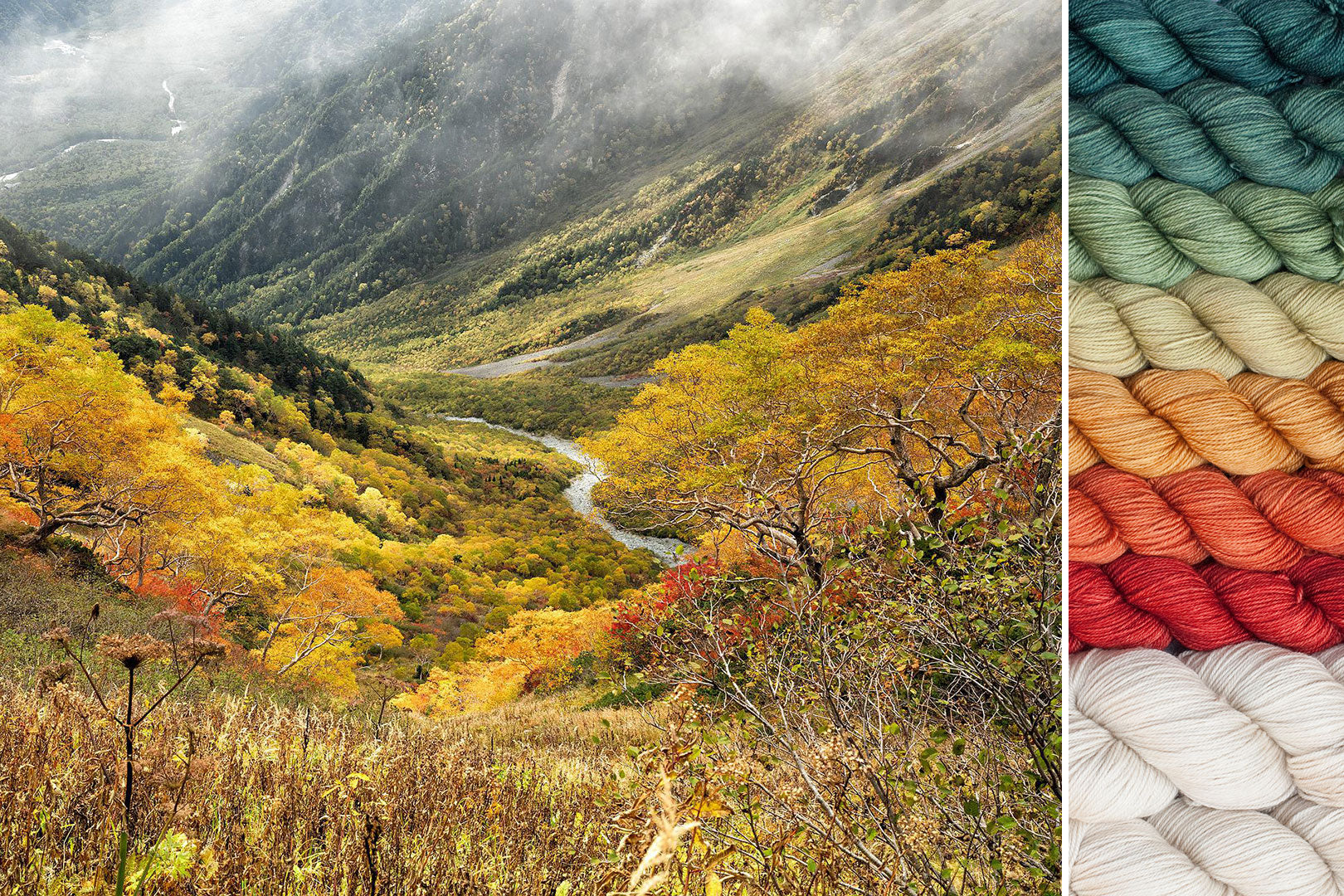 Collage showing inspiration photo (a mountain valley in autumn with yellows and oranges in the foreground and dark misty greens in the distance) with resulting gradient yarn set